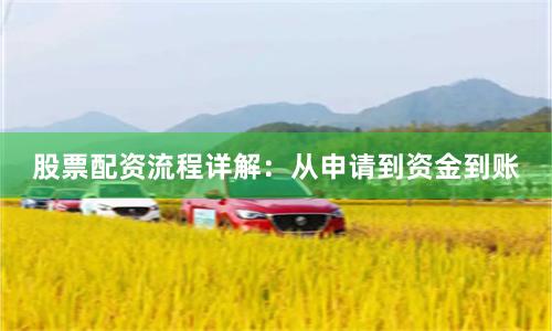 股票配资流程详解：从申请到资金到账